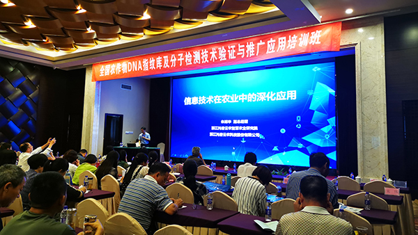 桃子视频APP黄下载副总经理朱旭华 桃子视频APP黄下载副总经理朱旭华