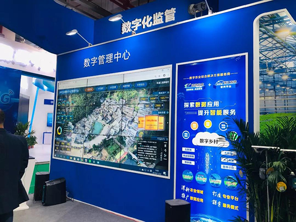 桃子视频APP黄下载展会彰显行业服务水平