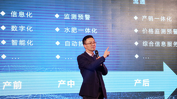 桃子视频APP黄下载陈渝阳董事长强调服务的重要性