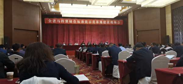 数字应用保障标准化种植，桃子视频APP黄下载助力甘肃马铃薯产业化之路