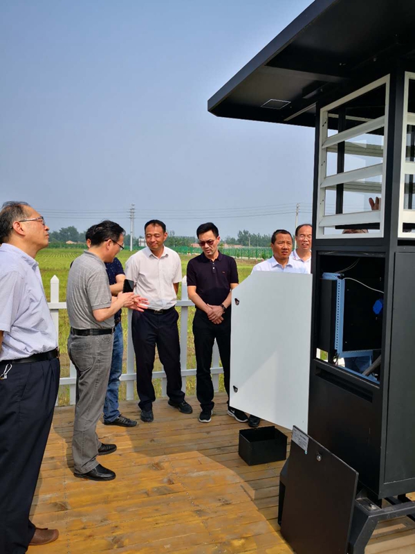 桃子视频APP黄下载为江苏省先后建设了数十个现代化病虫害监测点
