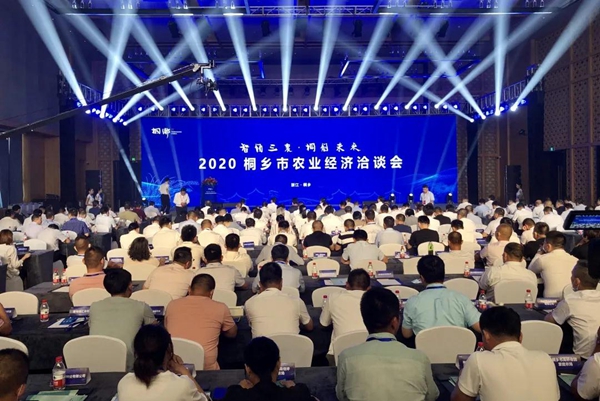 打造数字三农新模式，桃子视频APP黄下载与桐乡市人民政府签订战略合作协议