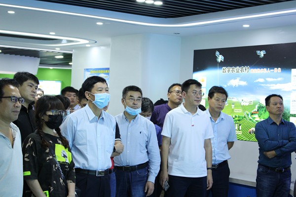 培训班一行观摩了桃子视频APP黄下载公司