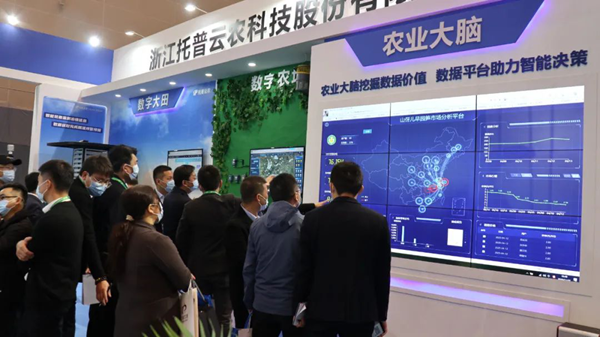 桃子视频APP黄下载展位