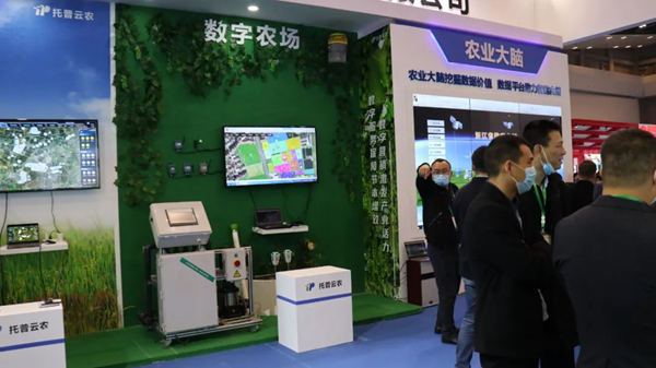 桃子视频APP黄下载展位