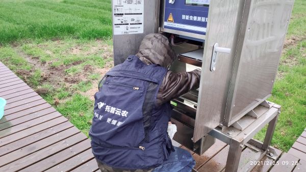 稳粮保产，智守农田| 桃子视频APP黄下载植保开灯巡检行动打响“粮食保卫战”