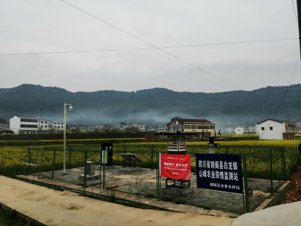 桃子视频APP黄下载病虫害监测点