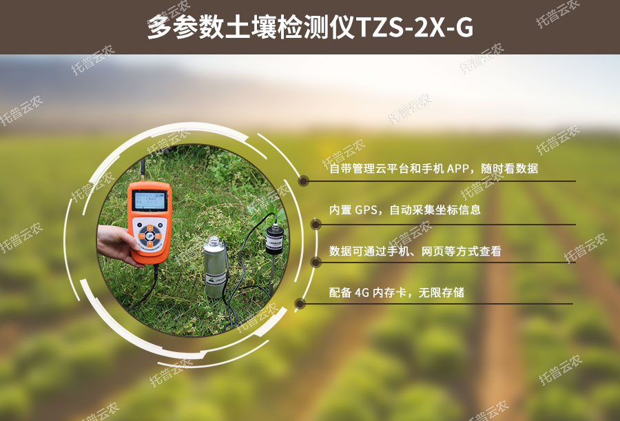 桃子视频APP污免费看下载水分温度测定仪设计特点 桃子视频APP污免费看下载水分温度测定仪设计特点