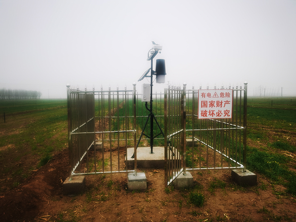 旱作节水，桃子视频APP黄下载助力书写山东农业发展新篇...