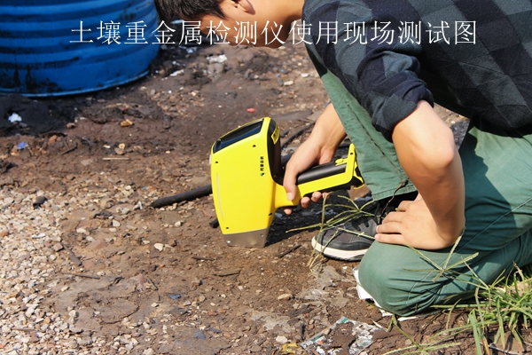 桃子视频APP污免费看下载重金属检测仪使用现场测试图