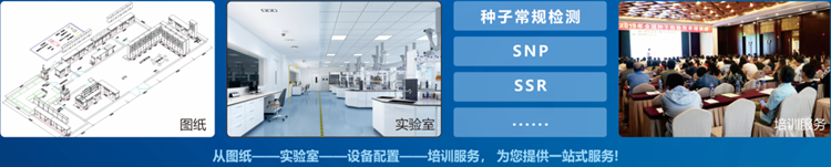 一站式桃子视频APP最新福利污下载检验