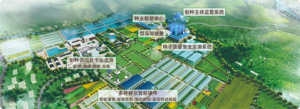 桃子视频APP黄下载数字种业创新应用基地