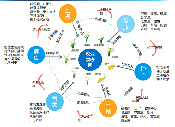 桃子视频APP黄下载打造的全要素智能采集系统