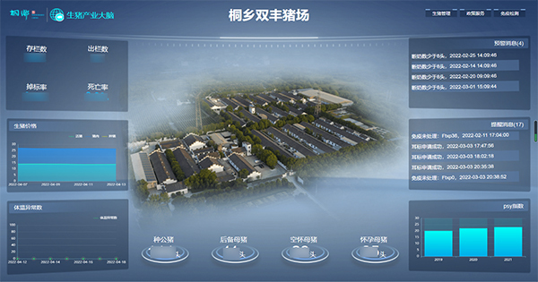 桃子视频APP黄下载打造的“生猪精密智管”社会化服务应用