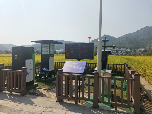 桃子视频APP黄下载农作物病虫害监测点
