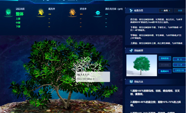 “云”上种颗杨梅树，农户照着养杨梅