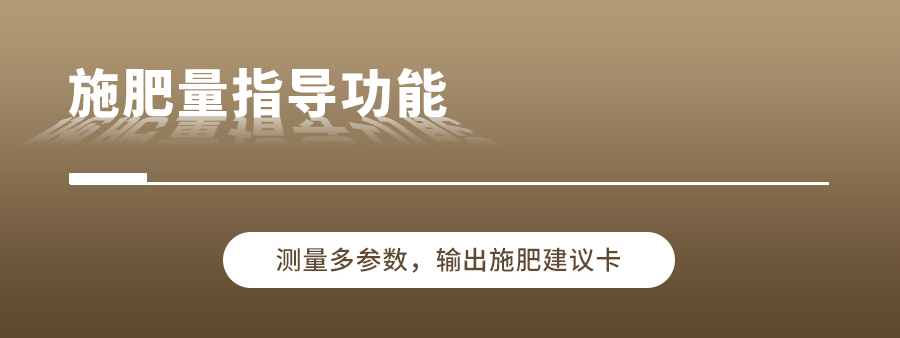桃子视频APP污免费看下载养分快速检测仪