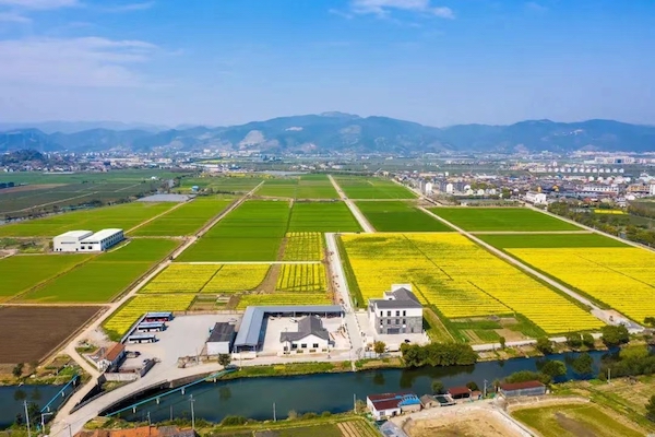 宁波海曙古林.jpg