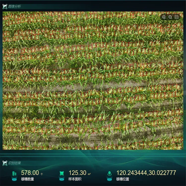 图片6_副本.png