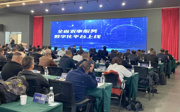 图片2_副本.jpg