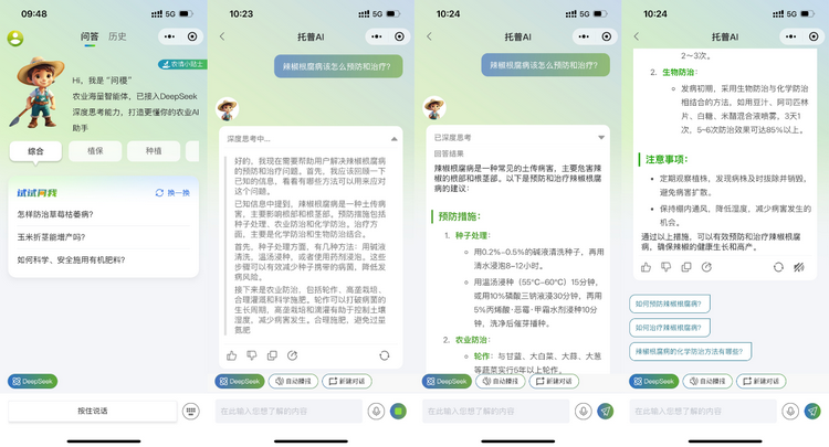 问答界面.png