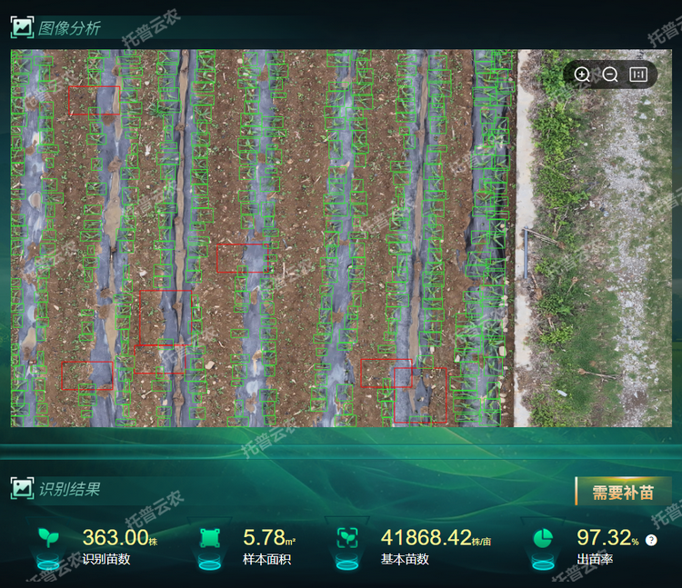 出，苗率.png